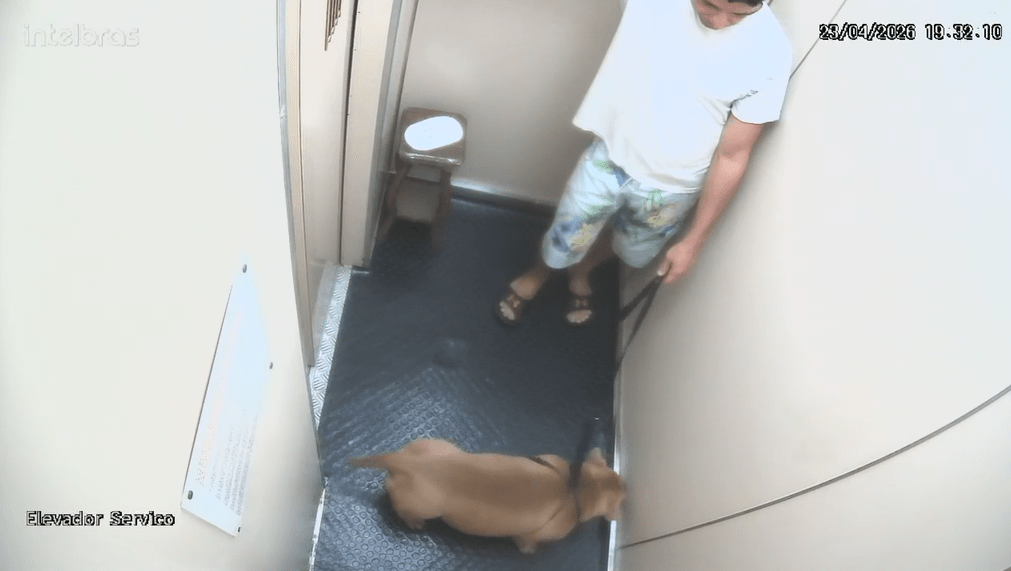 Homem é indiciado por matar cachorro afogado em praia de Copacabana Homem é indiciado por matar cachorro afogado em praia de Copacabana