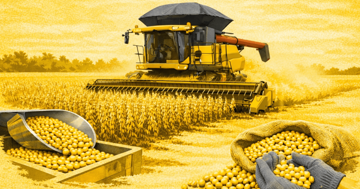 Soja brasileira resiste, com a saca cotada a R$133 após relatório do USDA Soja brasileira resiste, com a saca cotada a R$133 após relatório do USDA