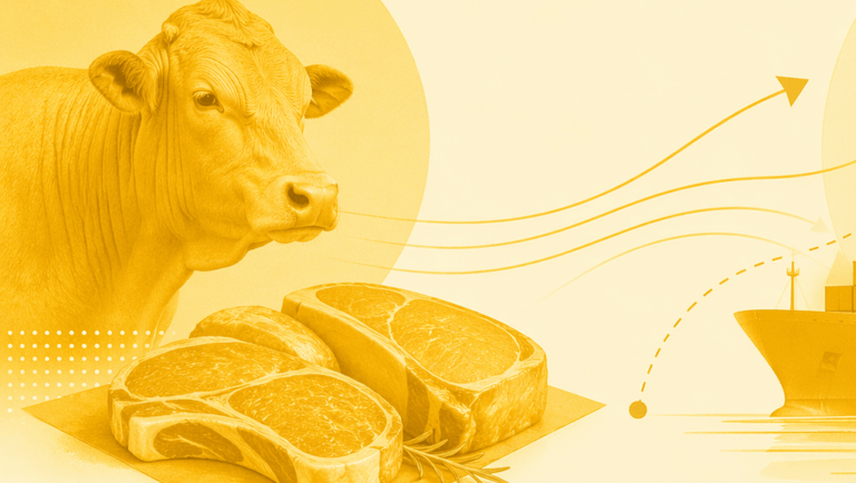 Brasil adota novas regras para exportação de carne à União Europeia