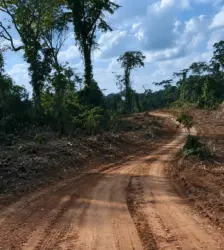Vídeo mostra avanço de estrada que liga Santa Rosa do Purus a Manoel Urbano