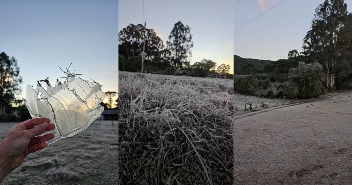 Geada forte congela paisagens em diversas cidades Geada forte congela paisagens em diversas cidades