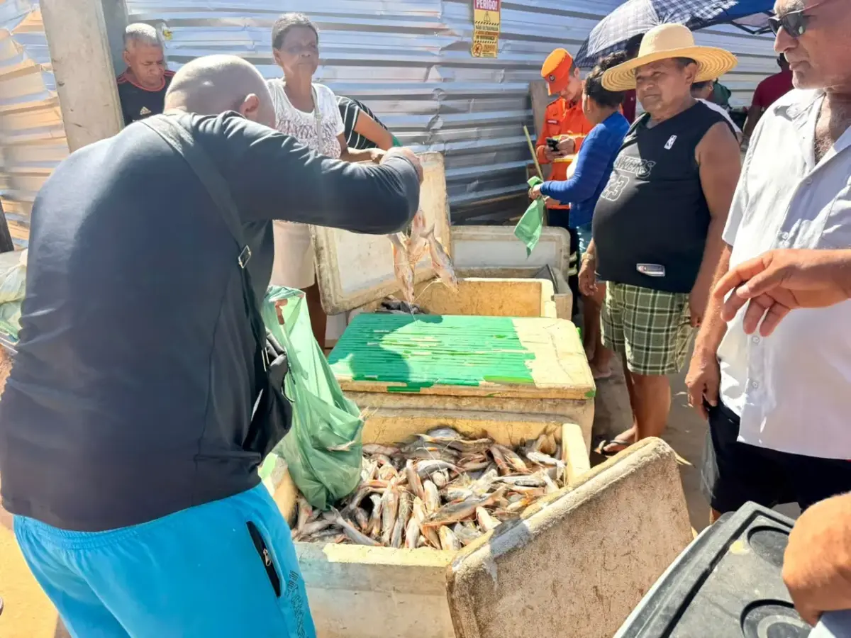 a comercialização do peixe também contribui para o aquecimento da economia local