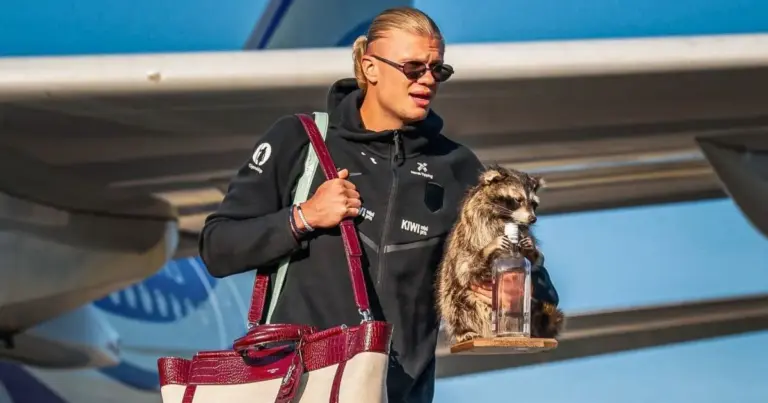 Haaland desembarca na Noruega com guaxinim de pelúcia de R$ 3,8 mil