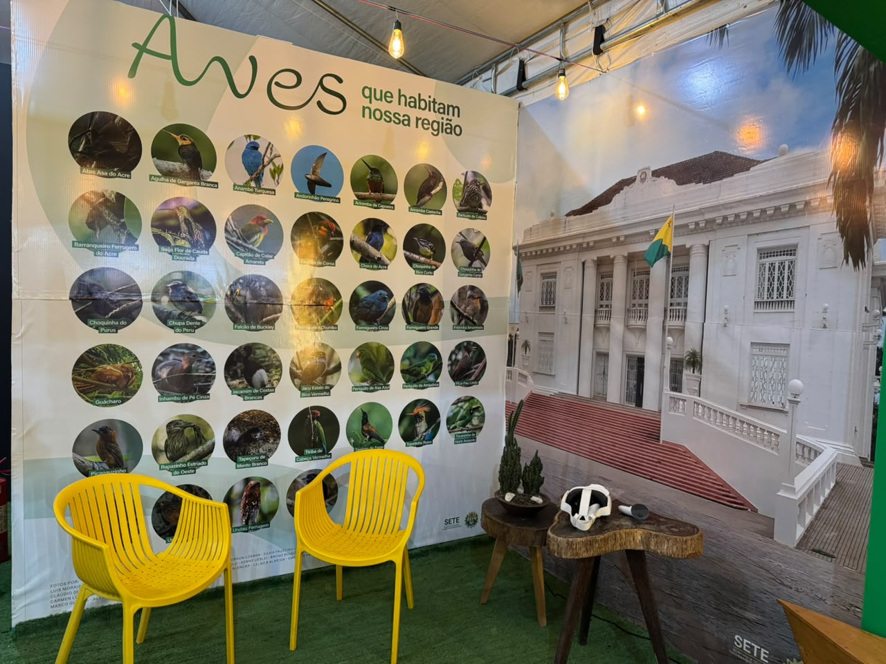 Turismo acreano vira vitrine e oportunidade de negócios na Expoacre Juruá Observação de aves atrai centenas de turistas para o Acre