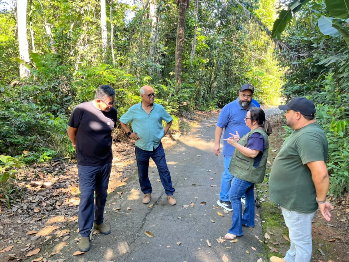 Parque Chico Mendes se prepara para os 30 anos com obras de revitalização