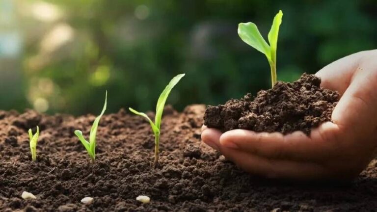 Parceria entre Brasil e Noruega cresce com o comércio de fertilizantes