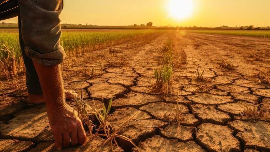 NOAA eleva chance de El Niño muito forte e alerta agro NOAA eleva chance de El Niño muito forte e alerta agro
