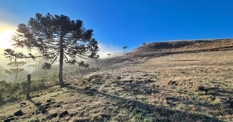 “Caçador de geada” embarca em aventura por paisagens congelantes em SC
