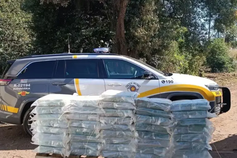 Polícia intercepta em rodovia e encontra carga de drogas avaliada em R$ 3,2 milhões
