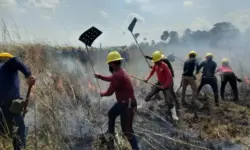 Acre comprará quadriciclos para combater incêndios florestais