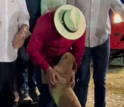 Cachorro caramelo invade foto com Lula e rouba a cena em evento no Ceará