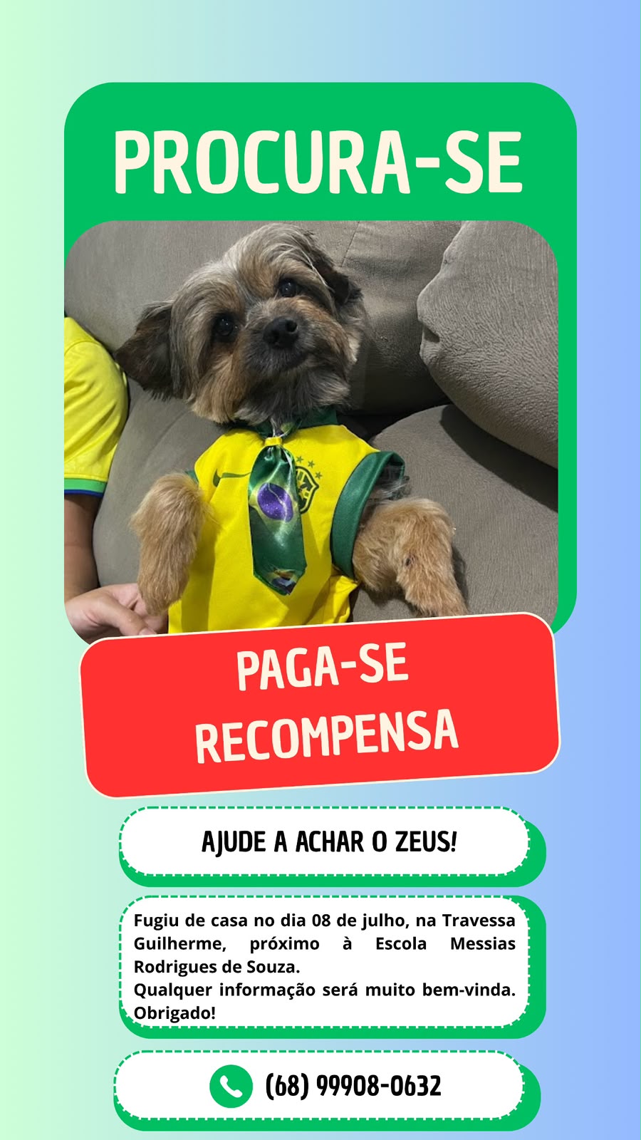 Cachorrinho Zeus some em Sena Madureira e família oferece recompensa