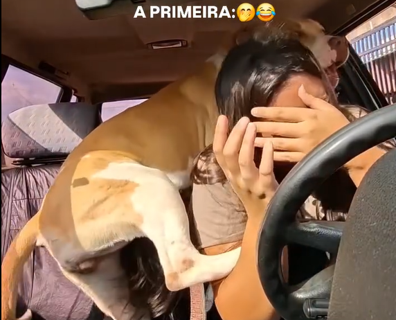 O vídeo do cachorro viralizou nas redes sociais