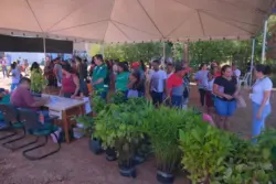 Imac assume gestão do Cadastro Ambiental Rural no Acre