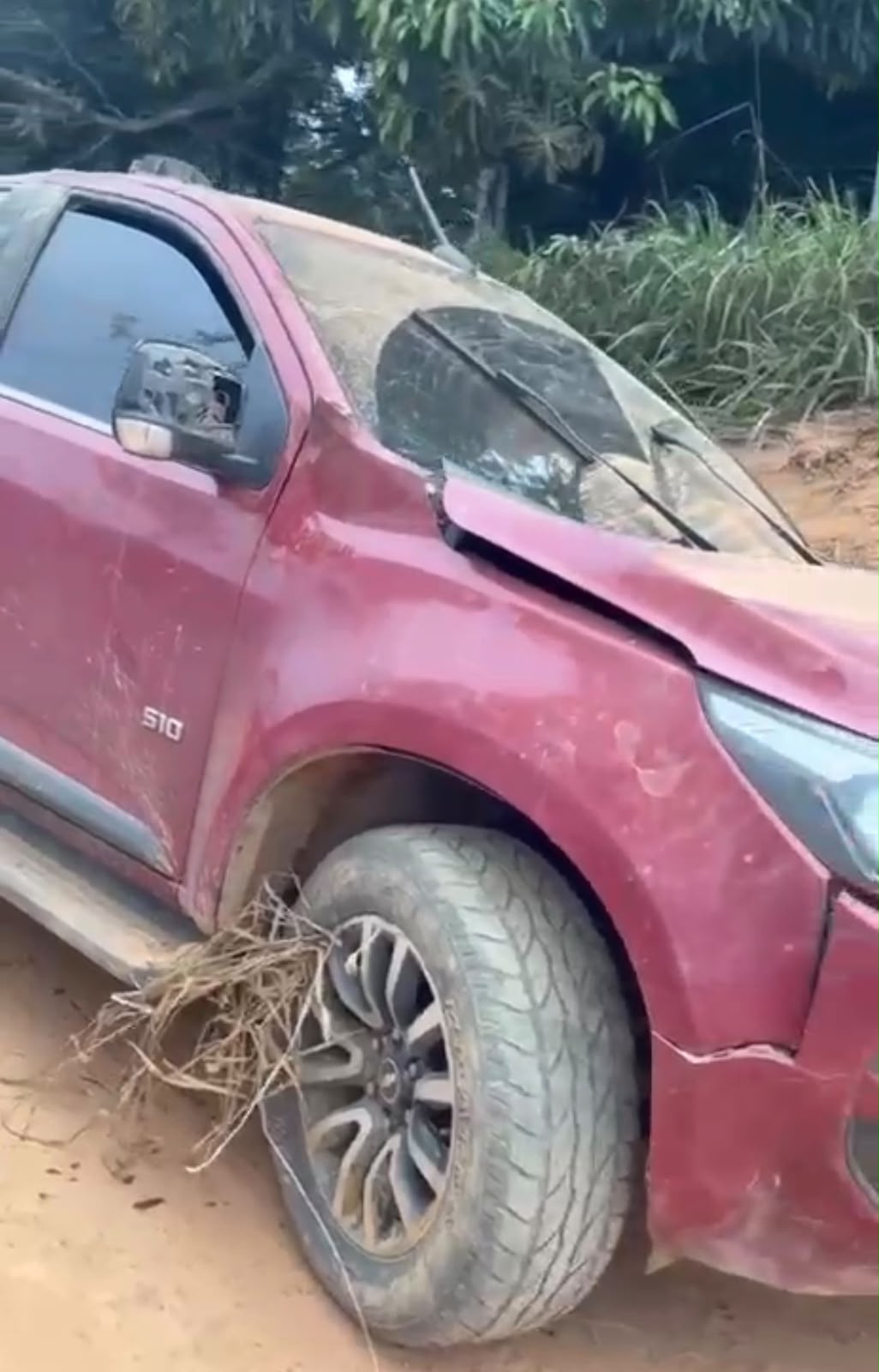 Motorista fratura costelas após capotar caminhonete ao desviar de capivara na BR-317