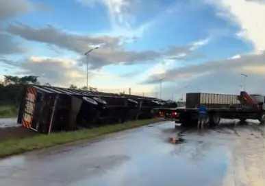 Caminhão com mais de 30 garrotes tomba na estrada do aeroporto, na BR-364
