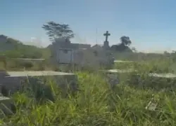 Familiares denunciam abandono e matagal em cemitério da capital