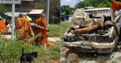 Menino de 11 anos pega caminhonete escondido e mata oito monges
