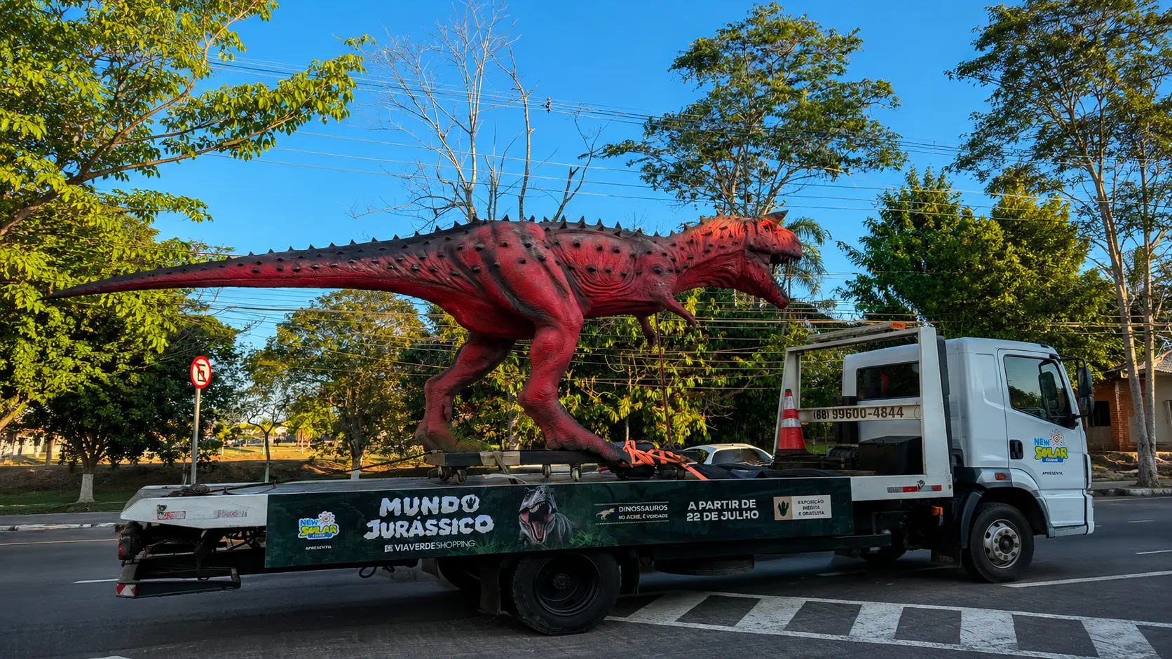 Criatura gigante surpreende moradores durante percurso por Rio Branco