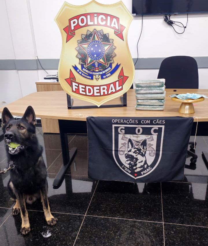 Duas mulheres são presas com skunk em operação na fronteira do Acre Duas mulheres são presas com skunk em operação na fronteira do Acre