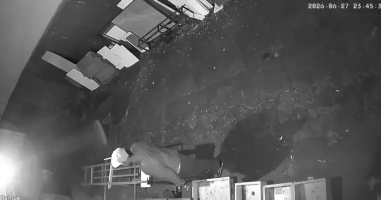 Vídeo mostra vizinhos em desespero enquanto homem mata companheira em casa