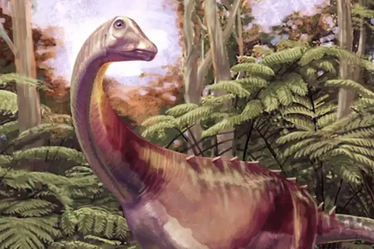 Fóssil esquecido em gaveta por 40 anos é identificado como o 1º dinossauro