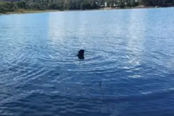 Tragédia: Adolescente e mulher morrem afogados no Lago Corumbá