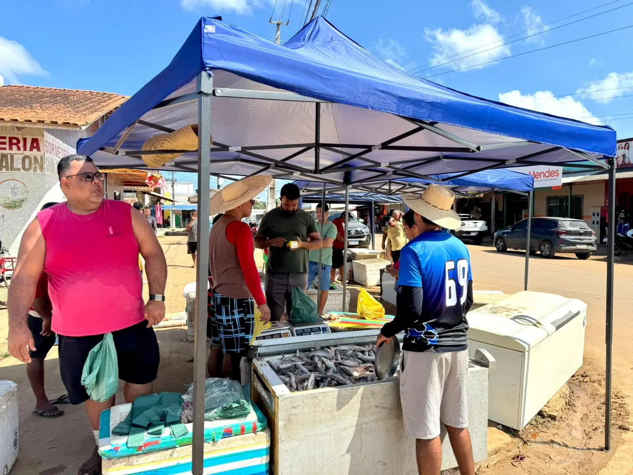Fartura de mandi faz preço do peixe despencar e quilo chega a R$ 15 em Sena