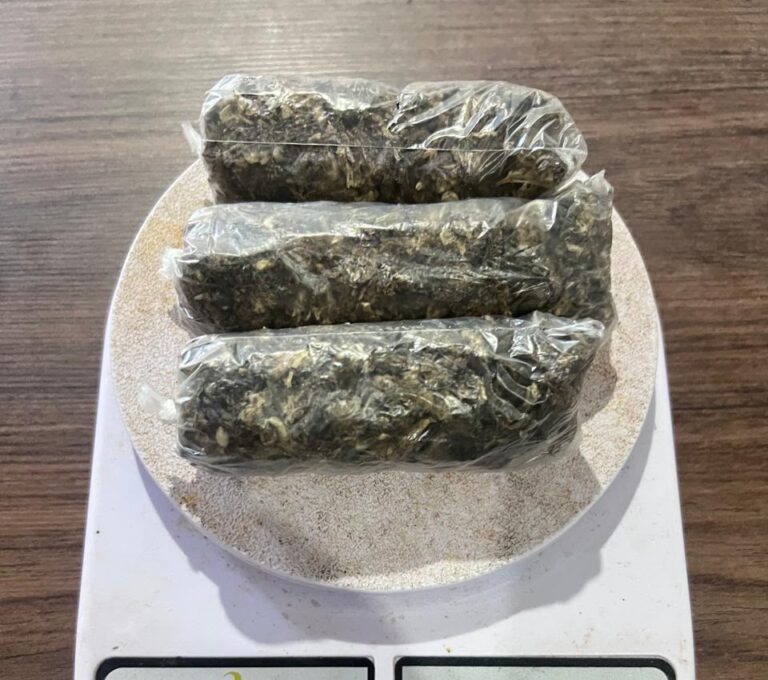 Drogas foram encontradas dentro do biscoito