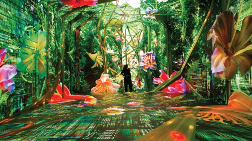 Primeiro museu de IA do mundo abre com mostra inspirada na floresta do Acre