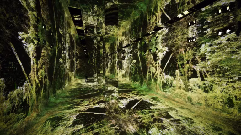 Viagem de artista à Amazônia inspira abertura de museu inédito de IA