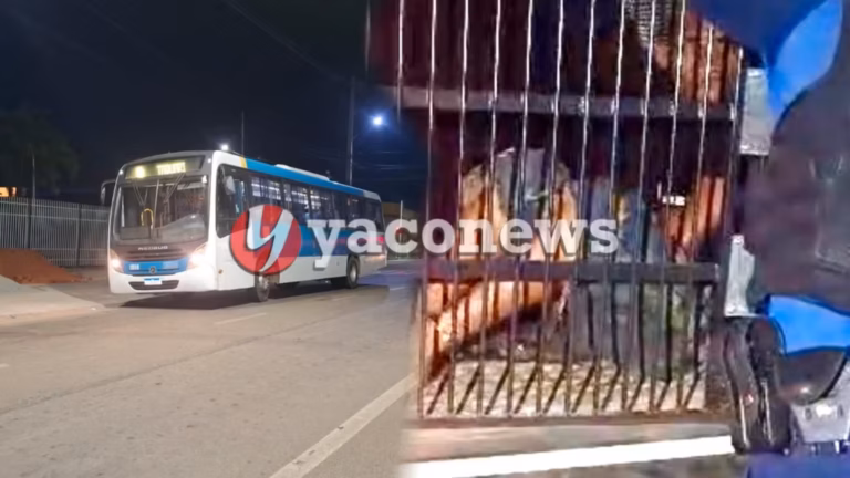 Quatro adolescentes são apreendidos após arrastão em ônibus na capital