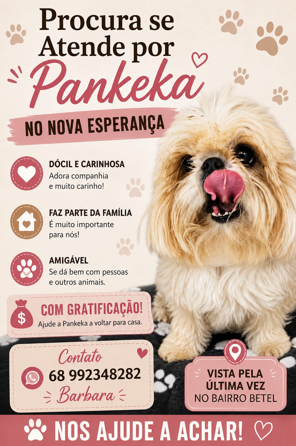 Família procura cachorrinha desaparecida e oferece recompensa; saiba mais