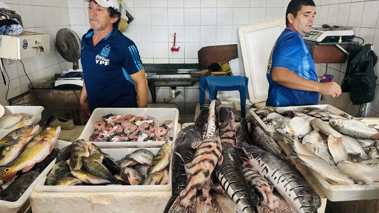 Fiscalização em mercado confirma peixe próprio para consumo em Cruzeiro do Sul