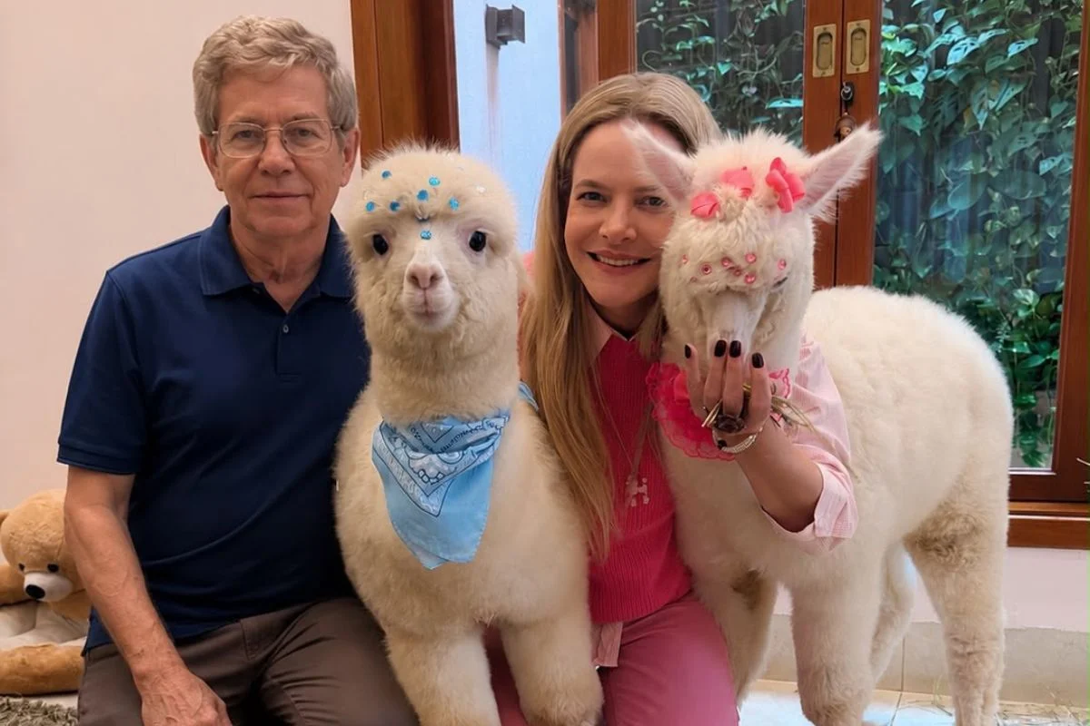 Casal cria alpacas em casa e estrutura projeto terapêutico Casal cria alpacas em casa e estrutura projeto terapêutico