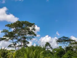 Segunda-feira será de tempo quente, sol e ventos entre fracos e moderados no Acre
