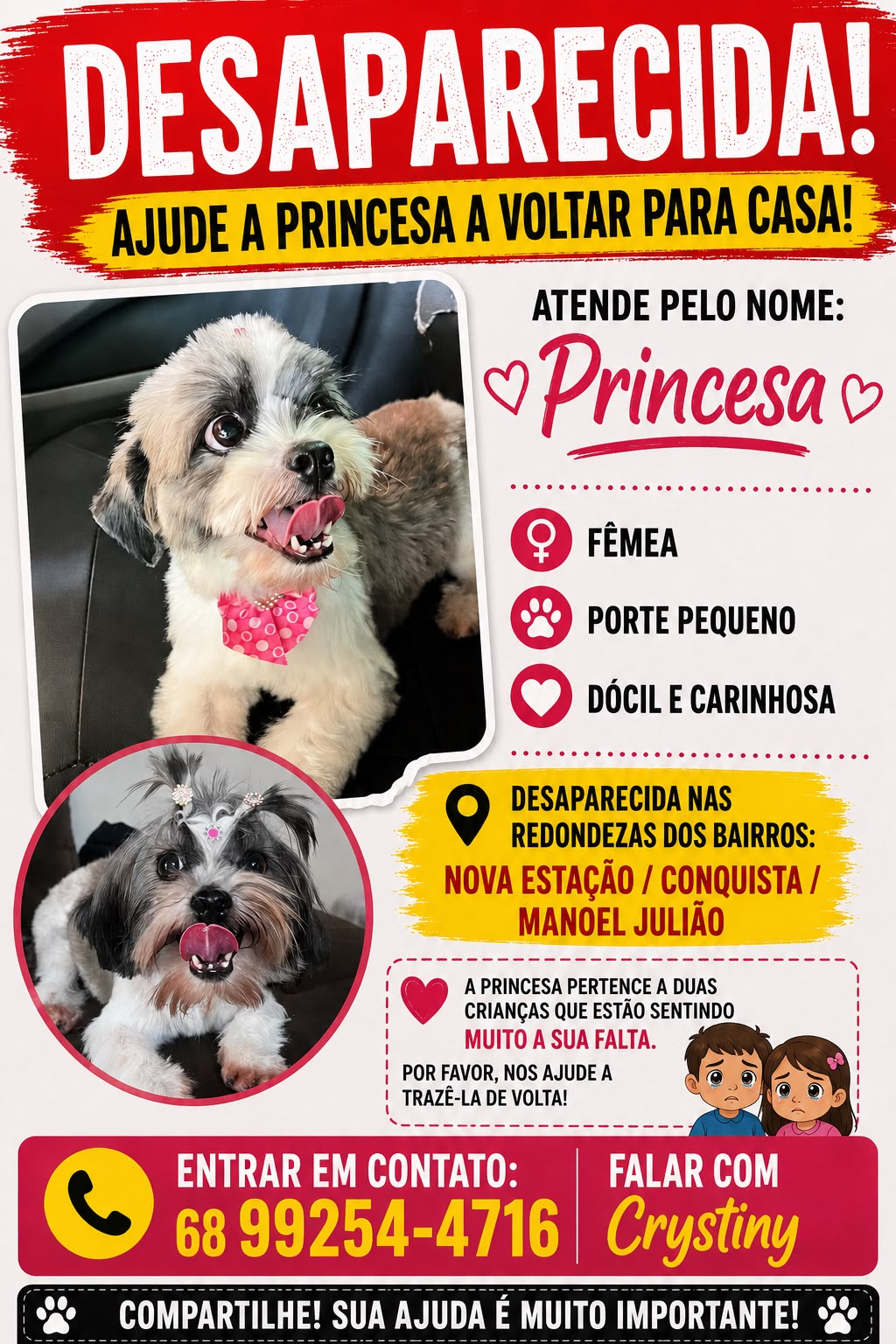 Família mobiliza campanha para encontrar a cadelinha desaparecida em Rio Branco Família mobiliza campanha para encontrar a cadelinha desaparecida em Rio Branco