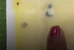 Faxineira expõe patroa após ganhar queijo com mofo
