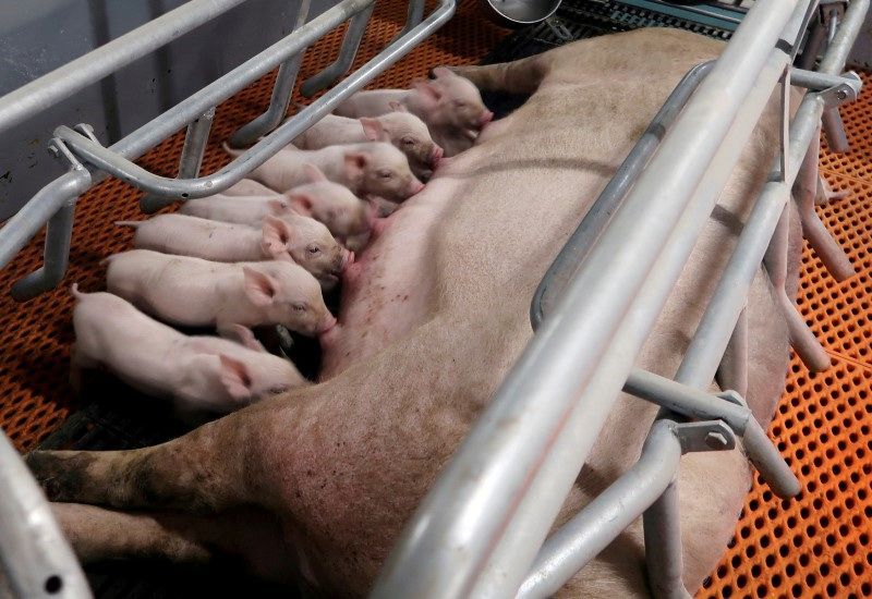 Disputa pelo mercado de soja chinês será acirrada nos próximos meses Disputa pelo mercado de soja chinês será acirrada nos próximos meses