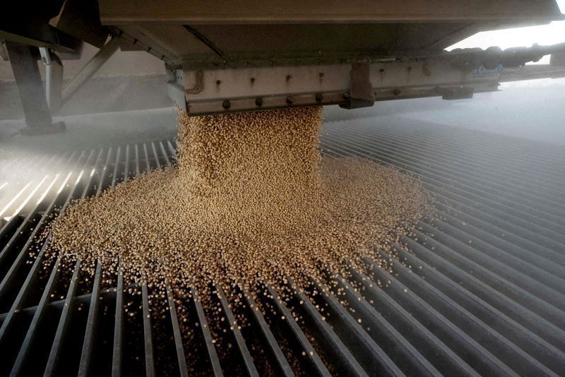 Soja: Brasil exportou 13,83 milhões de toneladas em junho, aponta Anec Soja: Brasil exportou 13,83 milhões de toneladas em junho, aponta Anec