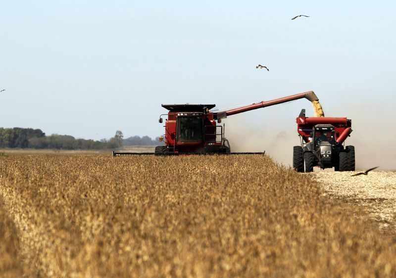 Agricultores argentinos adiam vendas de soja, apesar de preços mais altos Agricultores argentinos adiam vendas de soja, apesar de preços mais altos