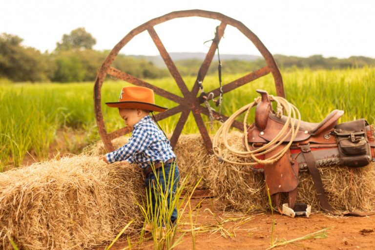 8 dicas para presentear crianças que amam o universo country