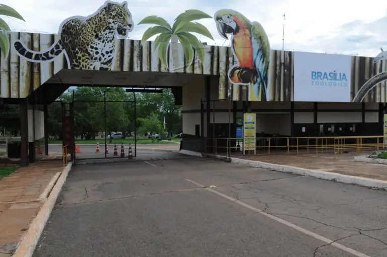 Mulher com sinais de surto invade recinto de elefante em Zoológico