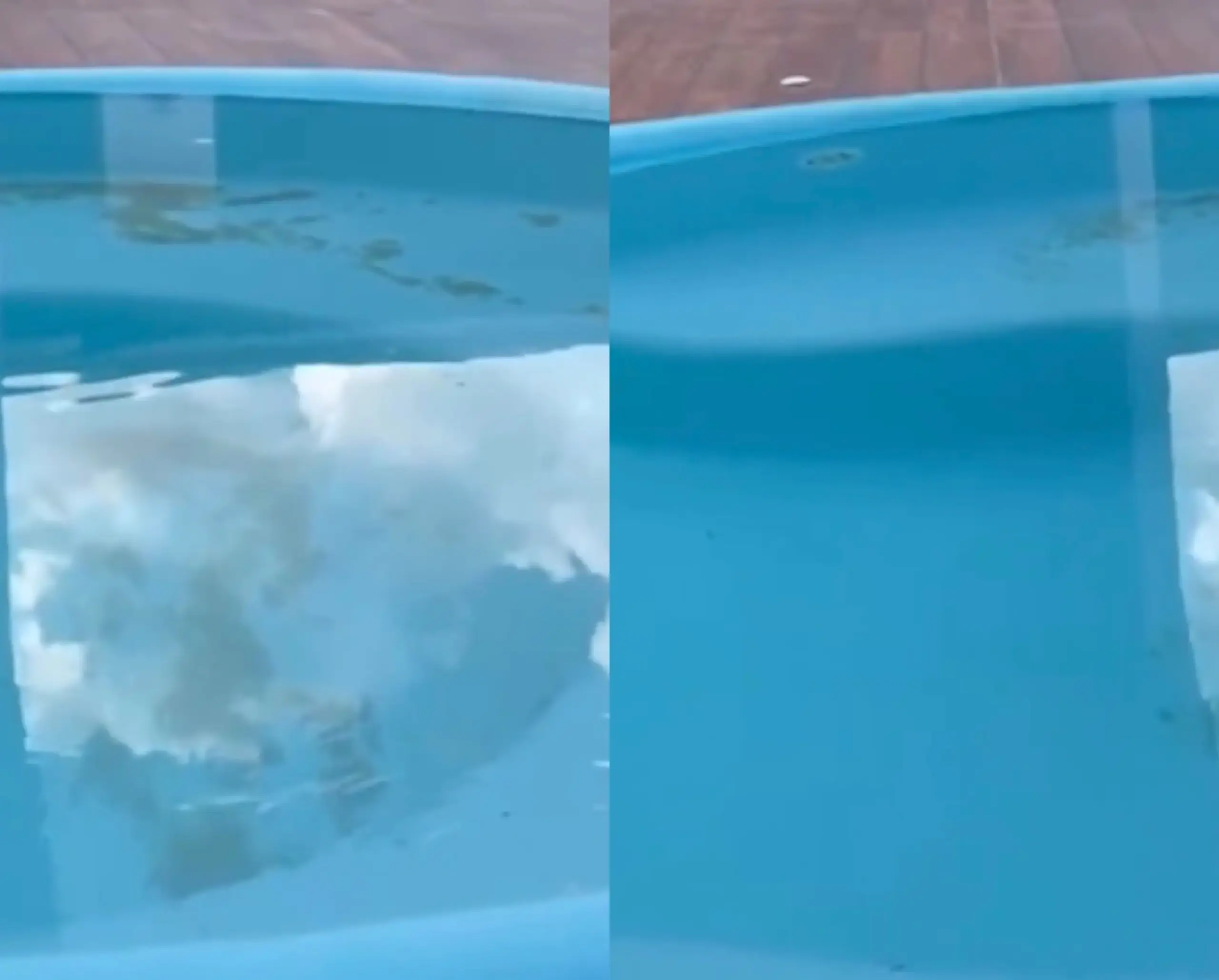 Terremoto é sentido no Acre; vídeo mostra água de piscina balançando