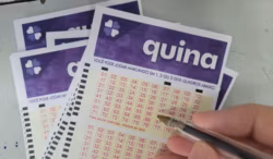 Quina hoje, concurso 7102: Confira o resultado sorteado nesta quarta-feira (26)