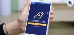Eleitor já pode denunciar propaganda irregular pelo celular