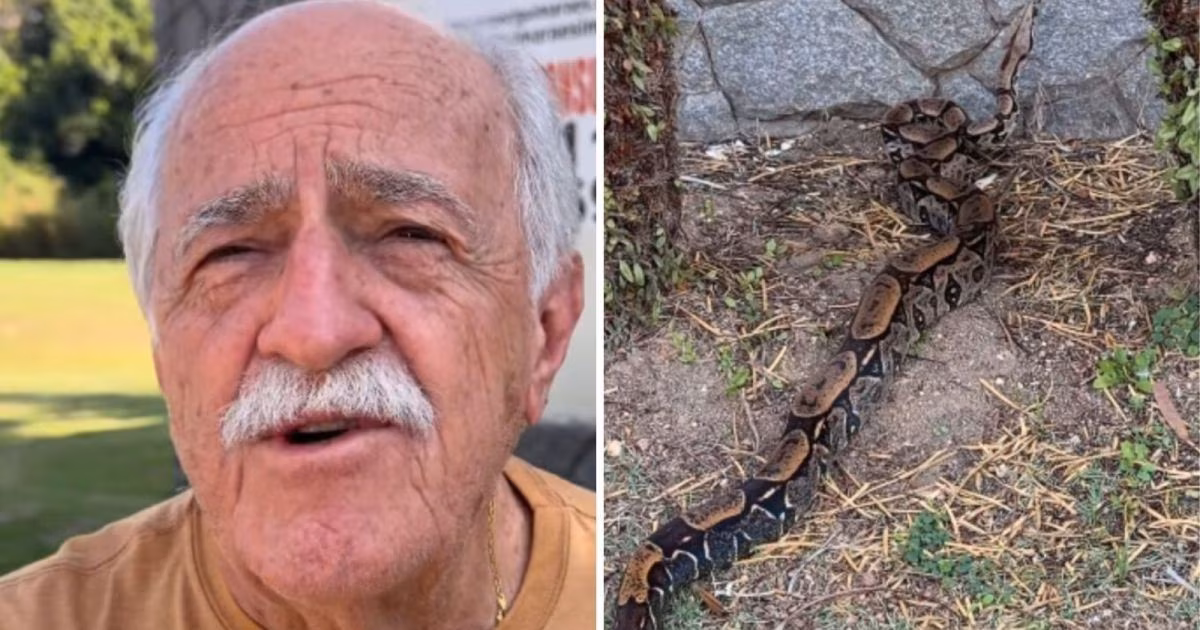 Ary Fontoura encontra jiboia em sua casa no Rio: “Visita inesperada”
