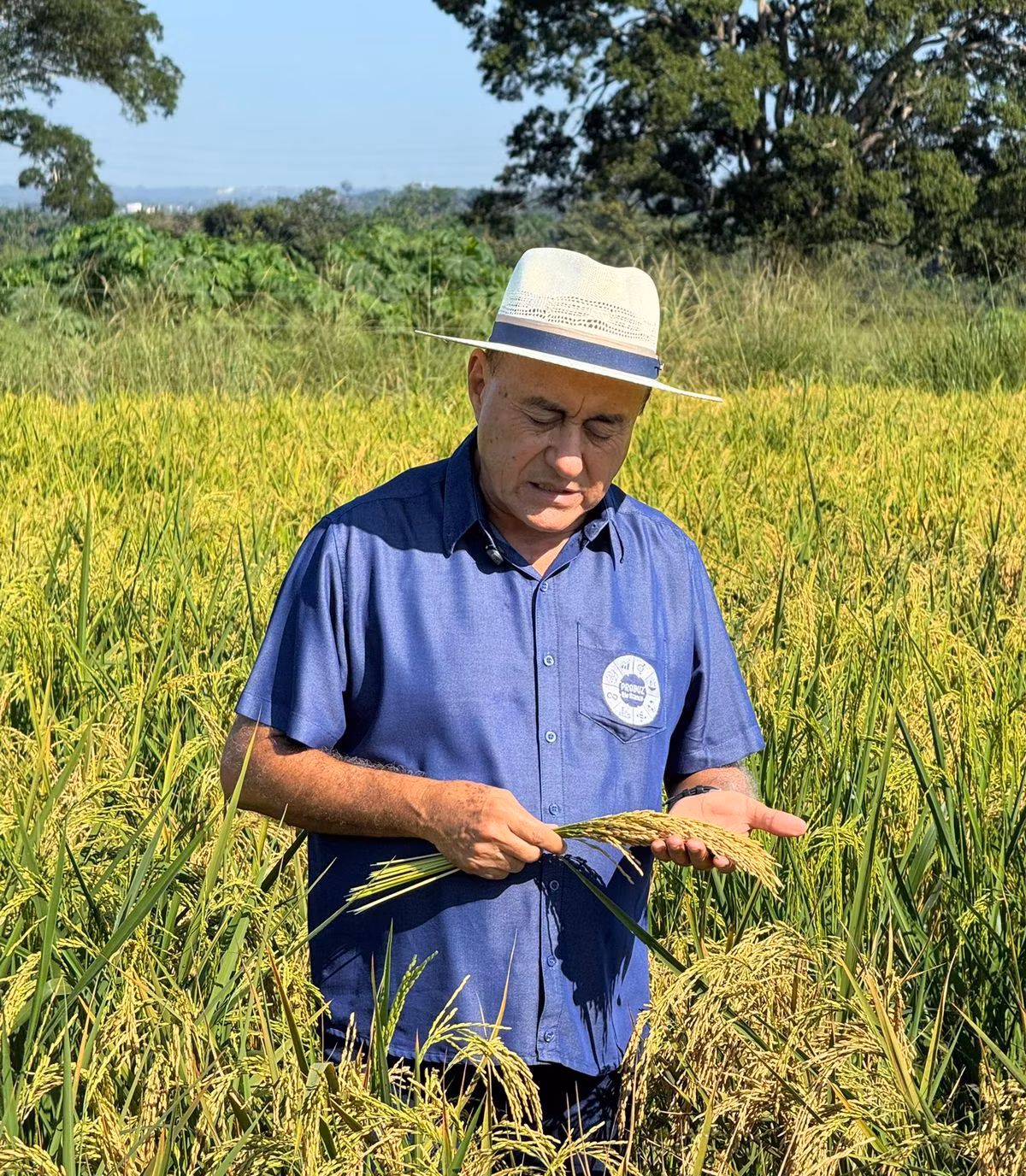 Agro transforma interior do Brasil e reforça proposta de Bocalom para o Acre