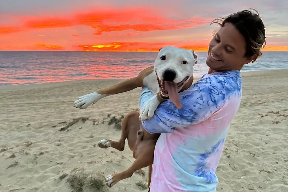 Despedida de surfista para cão de estimação no mar viraliza e gera debate