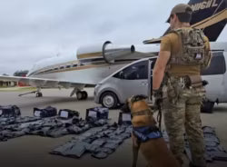 Três americanos são presos com 261 kg de maconha em avião de luxo no Paraguai